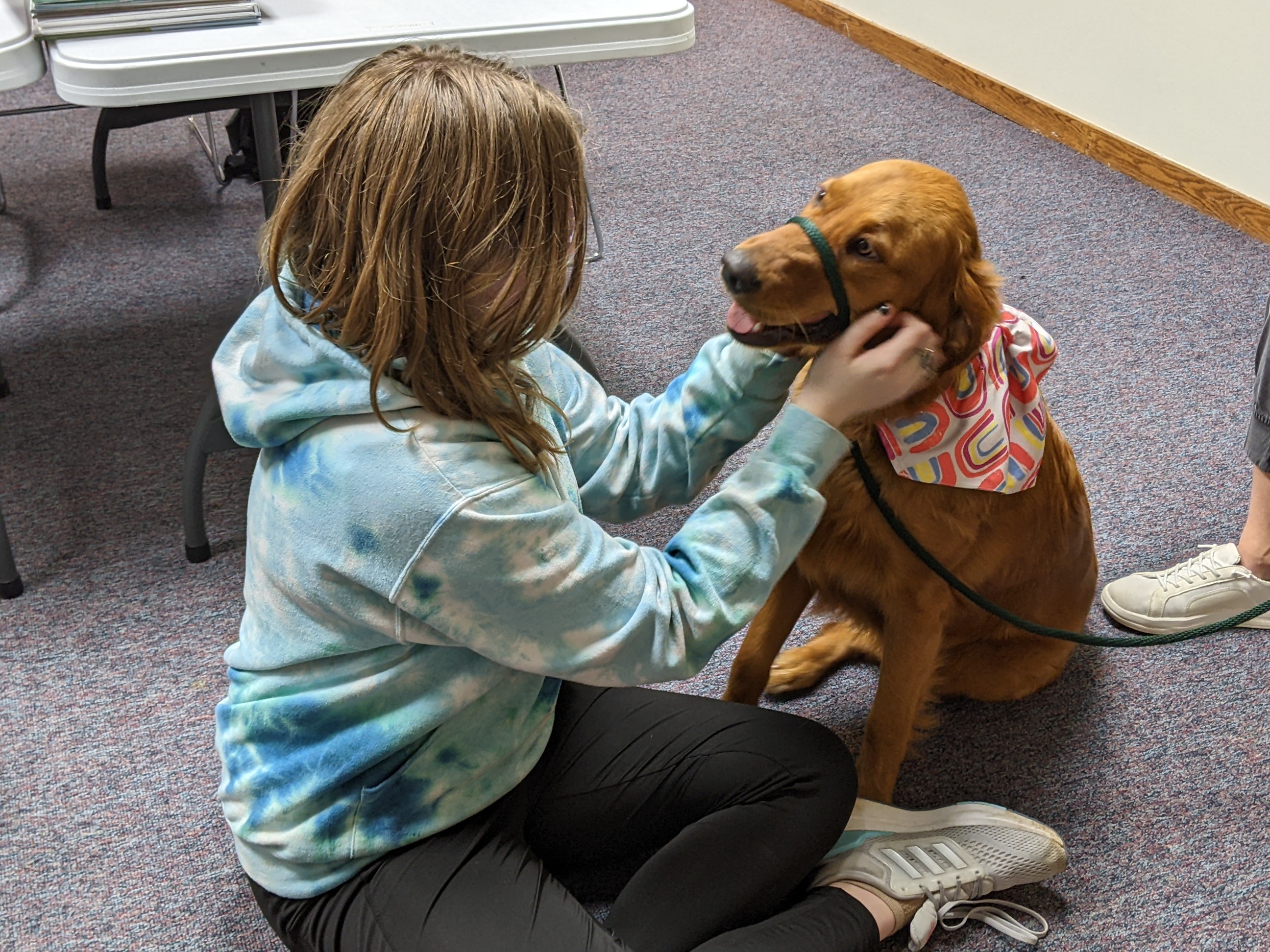 A teenager in a blue sweater gently holding a gold therapy dog's face.